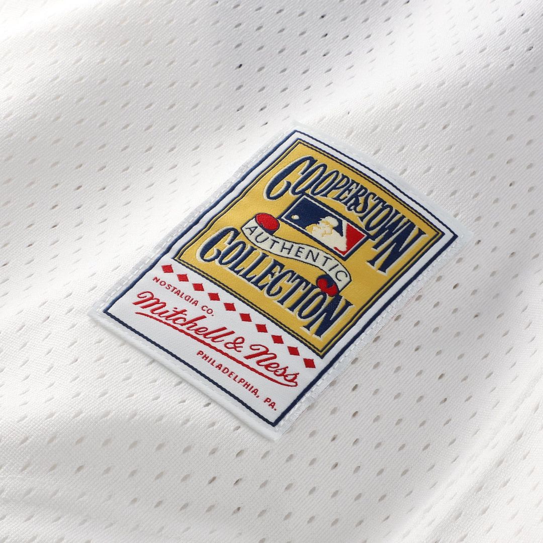 Chicago White Sox Carlton Fisk Mitchell & Ness Authentic Batting Practice Jersey - White