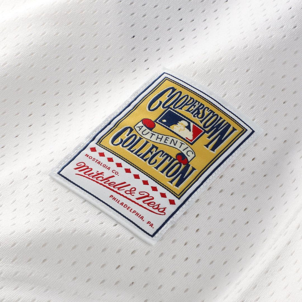 Chicago White Sox Carlton Fisk Mitchell & Ness Authentic Batting Practice Jersey - Navy